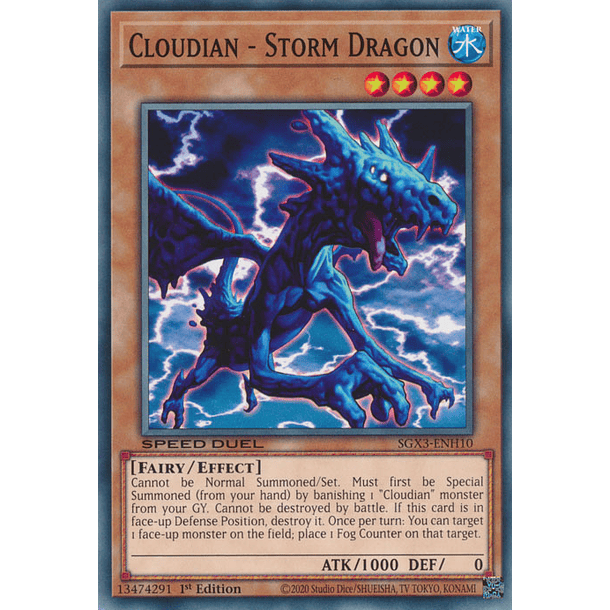 Cloudian - Storm Dragon - SGX3-ENH10 - Common