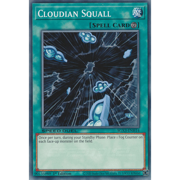 Cloudian Squall - SGX3-ENH14 - Common