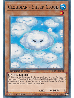 Cloudian - Sheep Cloud - SGX3-ENI24 - Common