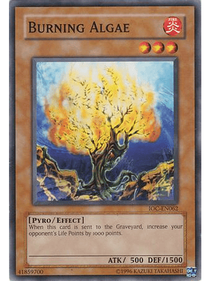 Burning Algae - IOC-EN062 - Common Unlimited (25th Reprint)