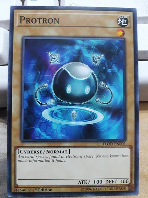 Protron - FLOD-EN001 - Common 