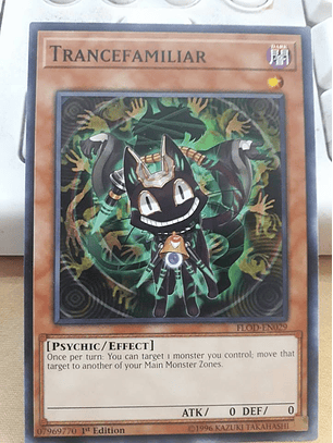 Trancefamiliar - FLOD-EN029 - Common