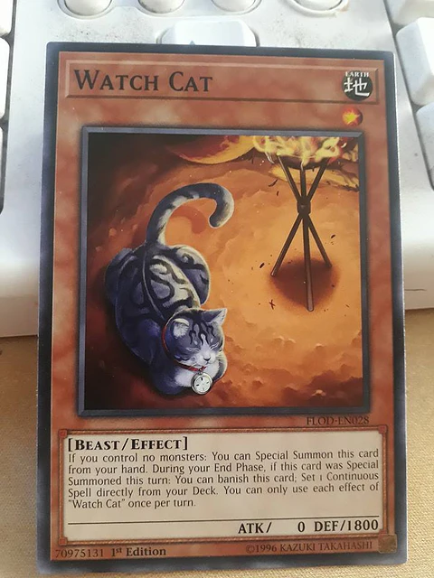 Watch Cat - FLOD-EN028 - Common