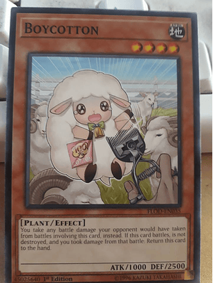 Boycotton - FLOD-EN035 - Common