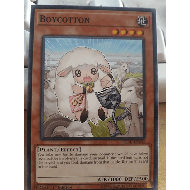 Boycotton - FLOD-EN035 - Common
