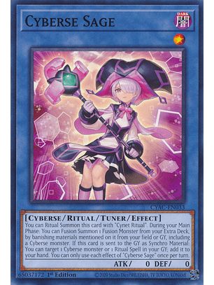 Cyberse Sage - CYAC-EN033 - Common
