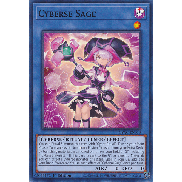 Cyberse Sage - CYAC-EN033 - Common