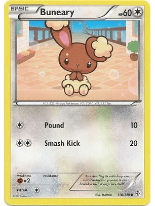 Buneary - 116/149 - Common