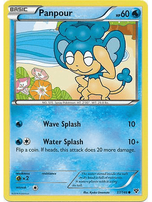 Panpour - 37/146 - Common