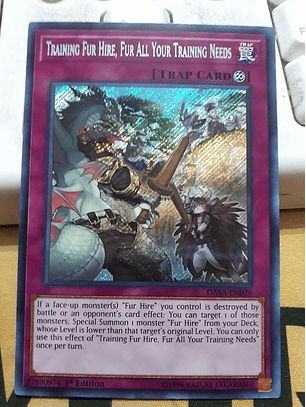 Training Fur Hire, Fur All Your Training Needs - DASA-EN026 - Secret Rare