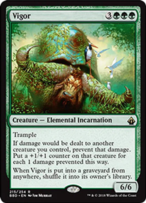 Vigor - BBD - R