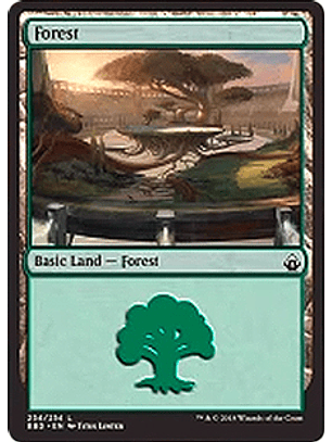 Forest 254 - BBD - C