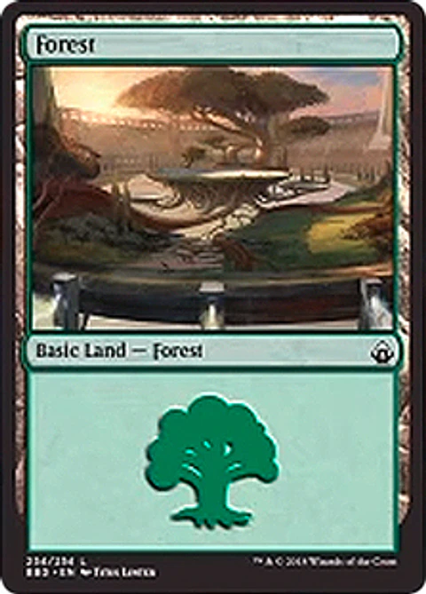 Forest 254 - BBD - C