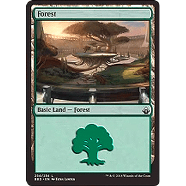 Forest 254 - BBD - C