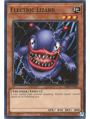 Electric Lizard - MRD-EN048 - Common Unlimited (25th Reprint)