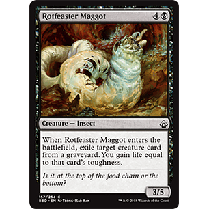 Rotfeaster Maggot - BBD - C