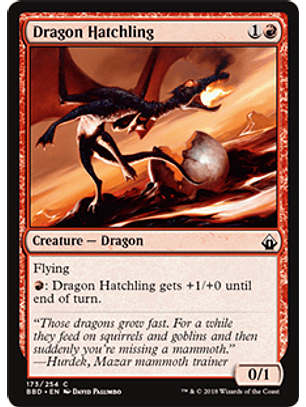 Dragon Hatchling - BBD - C