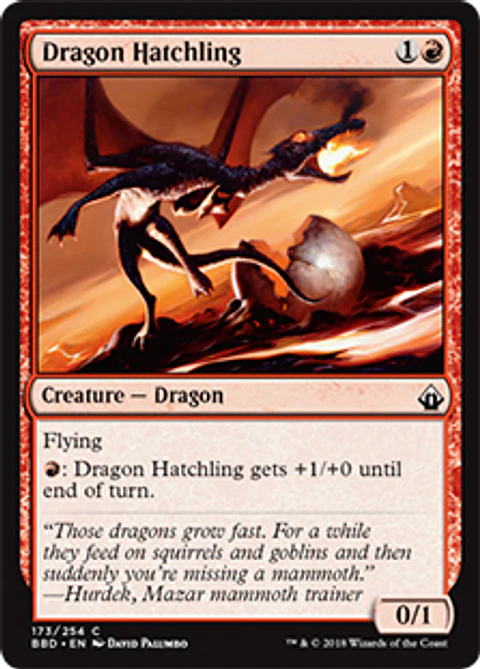 Dragon Hatchling - BBD - C