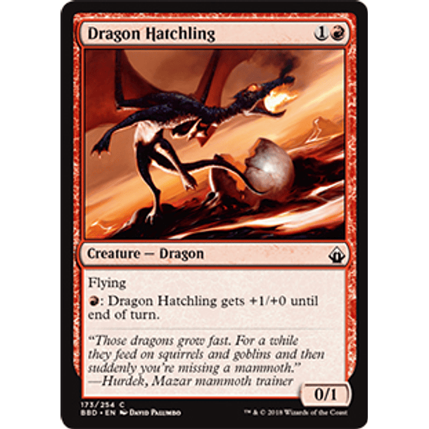 Dragon Hatchling - BBD - C