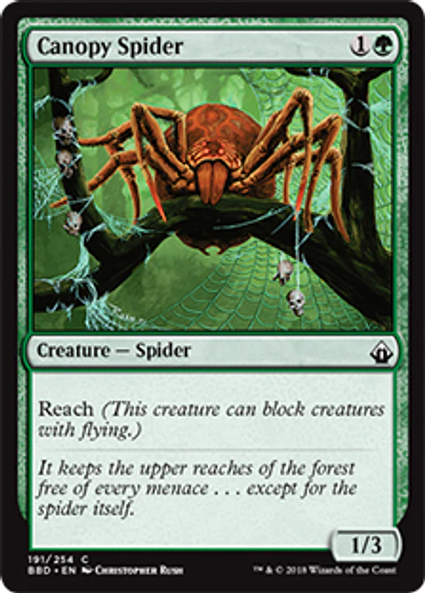 Canopy Spider - BBD - C