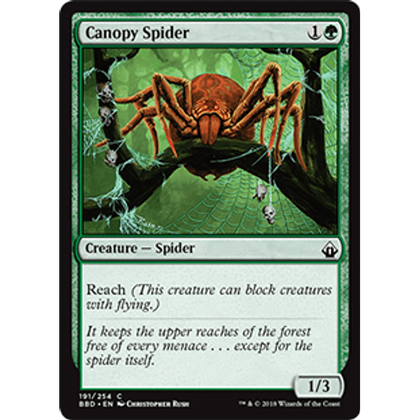 Canopy Spider - BBD - C