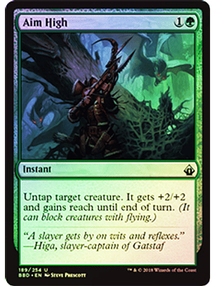 Aim High - BBD  Foil ★