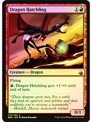 Dragon Hatchling - BBD - Foil ★
