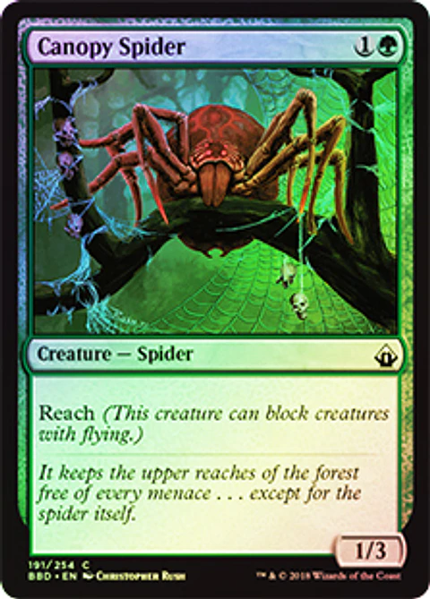 Canopy Spider - BBD - Foil ★