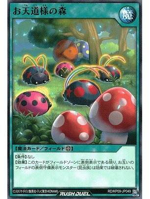 Sunny Forest - RD/KP09-JP049 - Common 