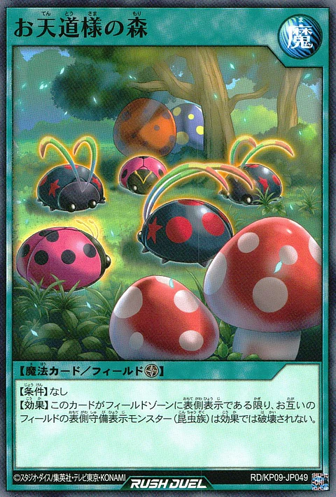 Sunny Forest - RD/KP09-JP049 - Common 