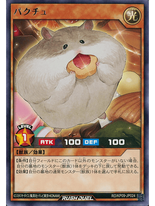 Packrat - RD/KP09-JP024 - Rare 
