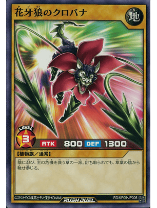 Kurobana the Shadow Flower Wolf - RD/KP05-JP006 - Common