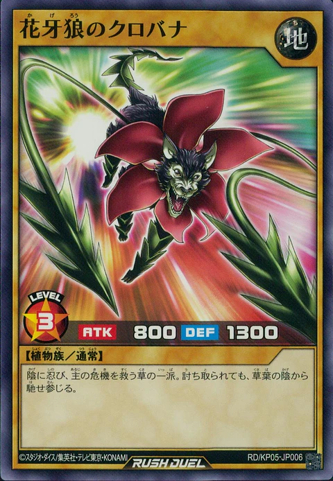 Kurobana the Shadow Flower Wolf - RD/KP05-JP006 - Common