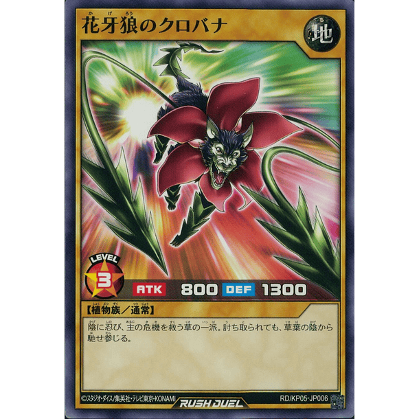 Kurobana the Shadow Flower Wolf - RD/KP05-JP006 - Common