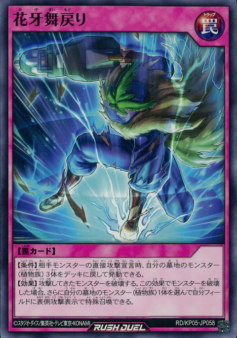 Shadow Flower Return - RD/KP05-JP058 - Common 