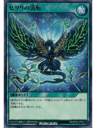 Vicissitude of Providence - RD/KP05-JP043 - Common 