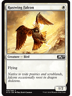 Rustwing Falcon - M19 - C 