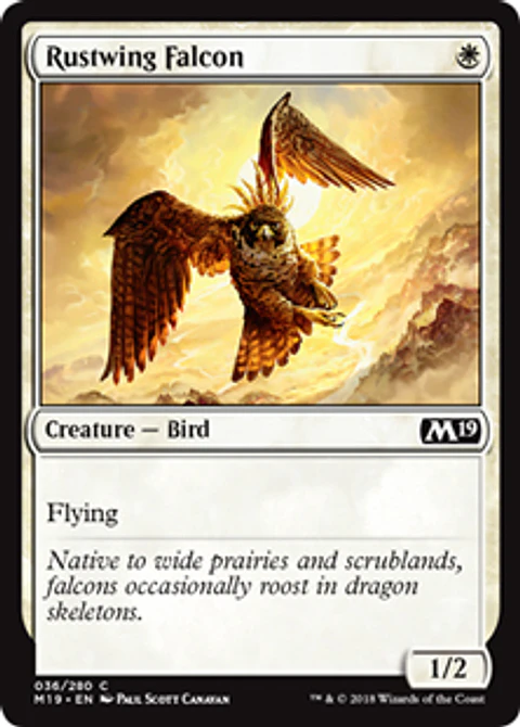 Rustwing Falcon - M19 - C 