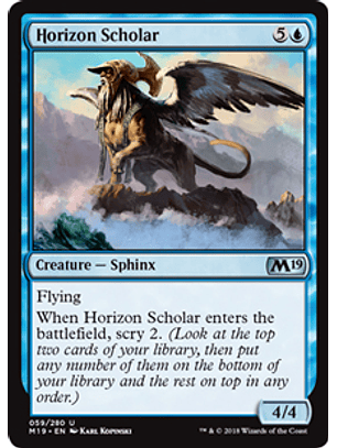 Horizon Scholar - M19 - U 