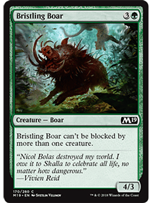 Bristling Boar - M19 - C 