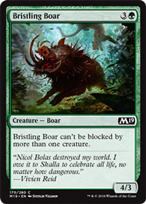 Bristling Boar - M19 - C 