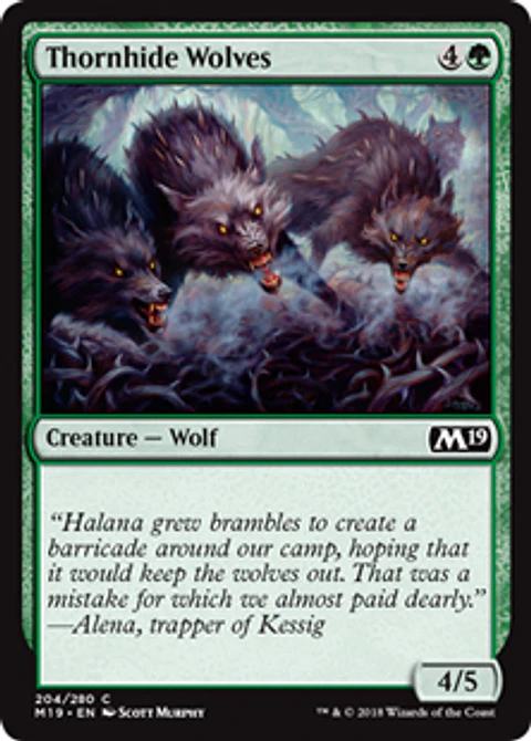 Thornhide Wolves - M19 - C 