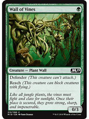 Wall of Vines - M19 - C 