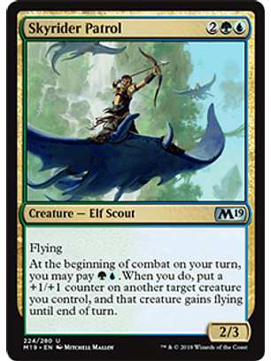 Skyrider Patrol - M19 - U