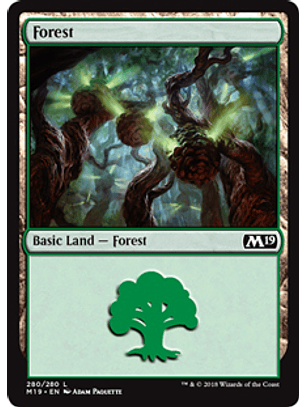 Forest 280 - M19 - L