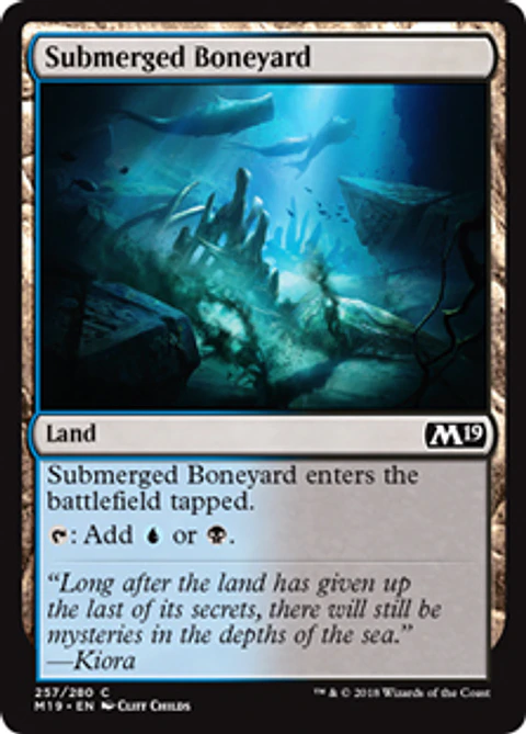 Submerged Boneyard - M19 - C 