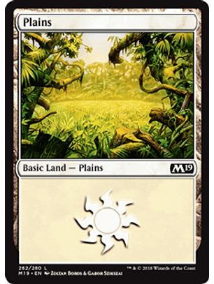Plains 262 - M19 - L 