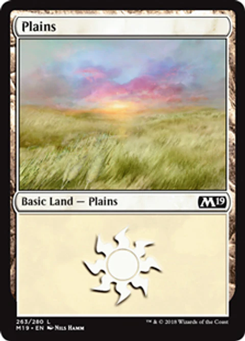 Plains 263 - M19 - L 