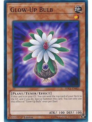Glow-Up Bulb - SDCL-EN021 - Common