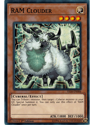 RAM Clouder - YS18-EN006 - Common